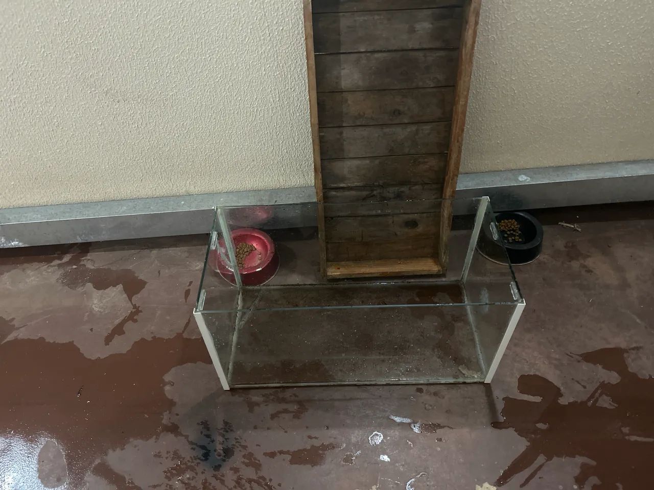 Aquário de vidro.barato pq tem que colar o fundo !