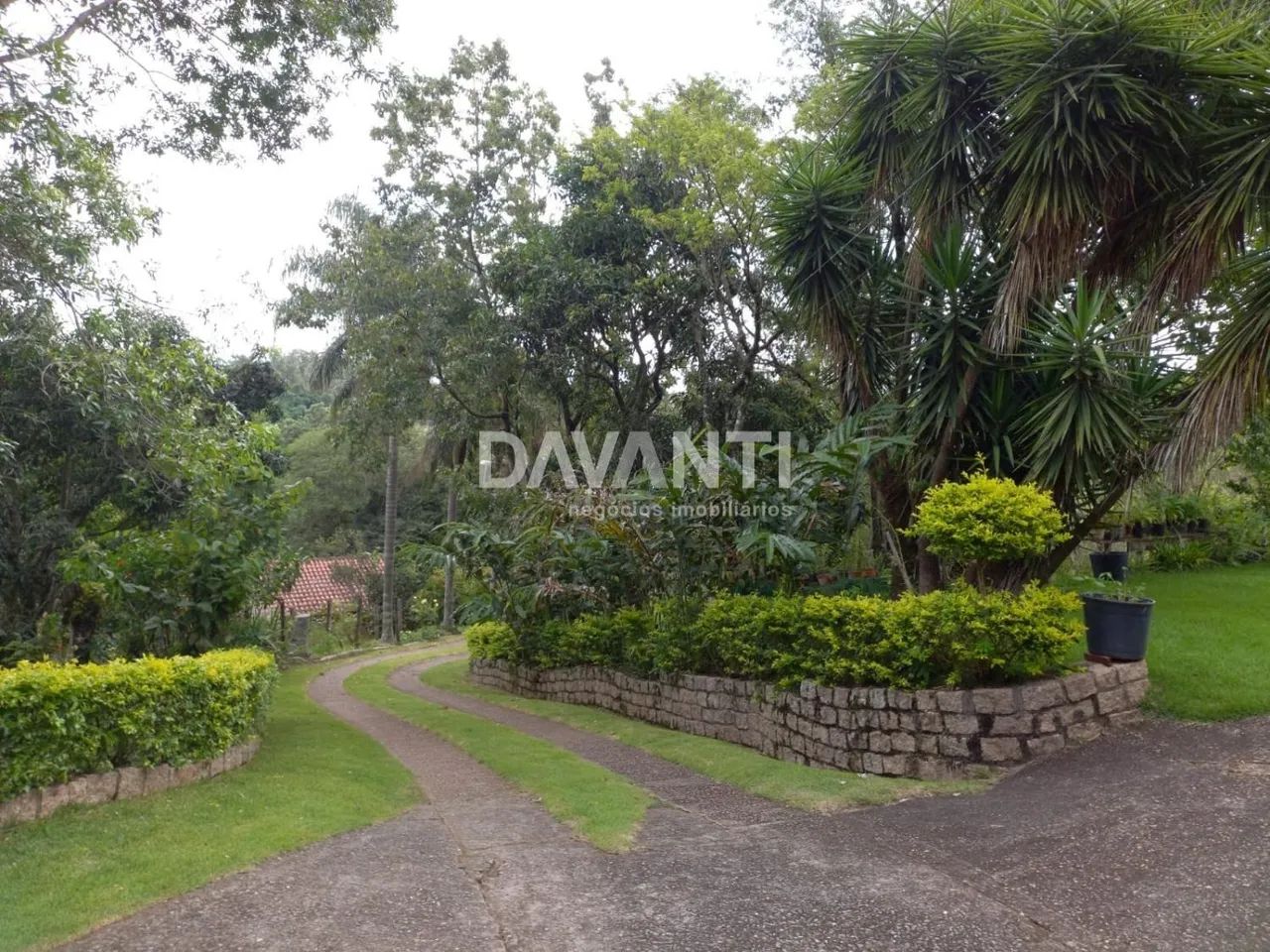sítio - Monte Alegre - Vinhedo - Foto 4