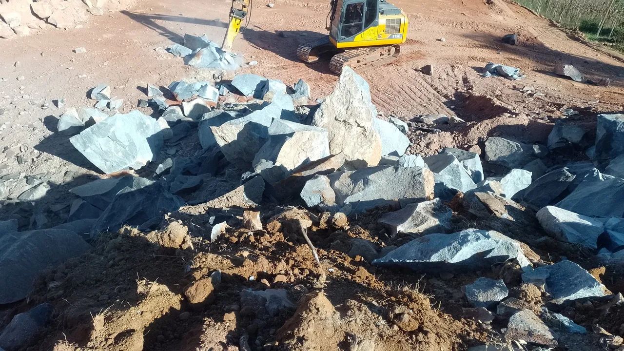 Quebra pedras  - Foto 4