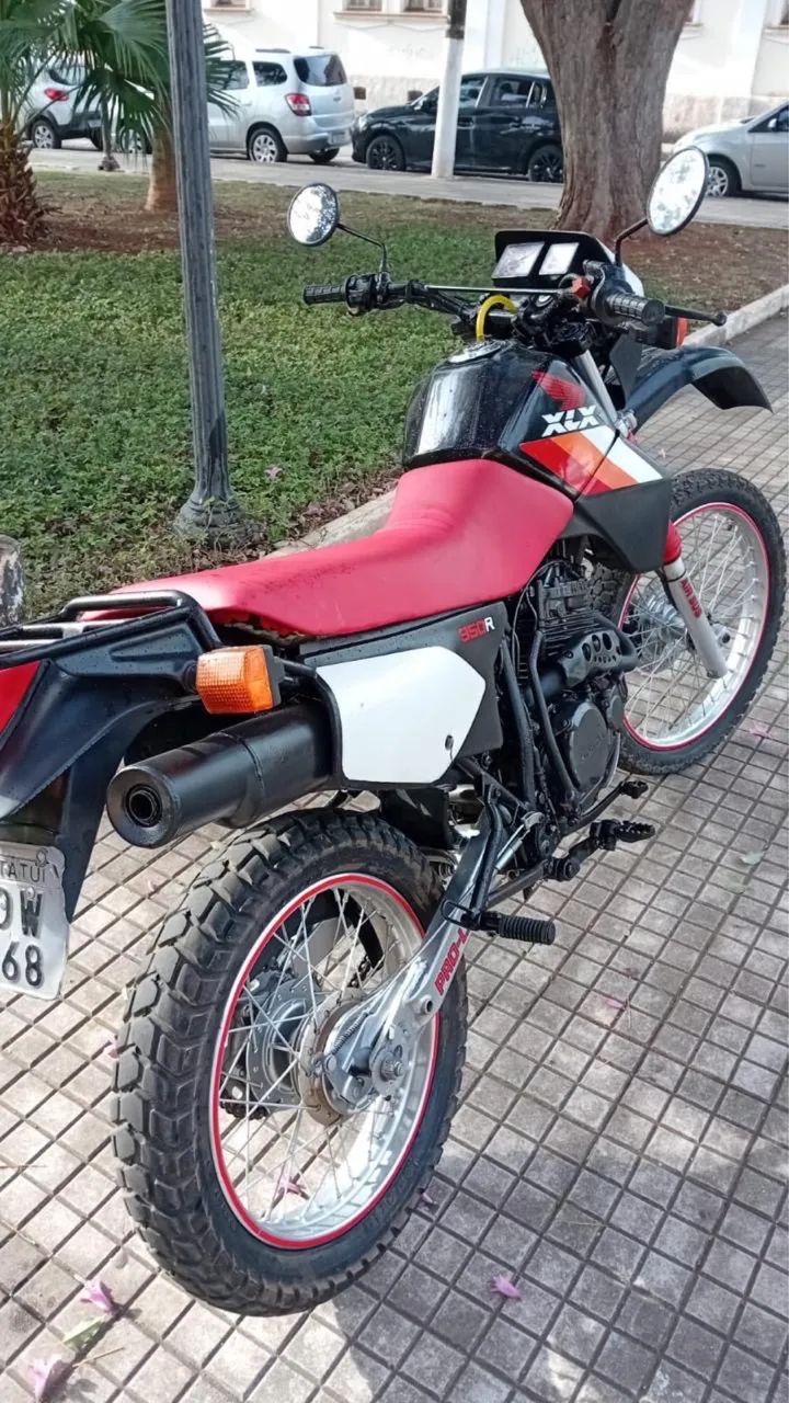 XLX - Foto 2