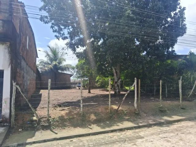 Foto - São Lourenço da Mata - Tiúma