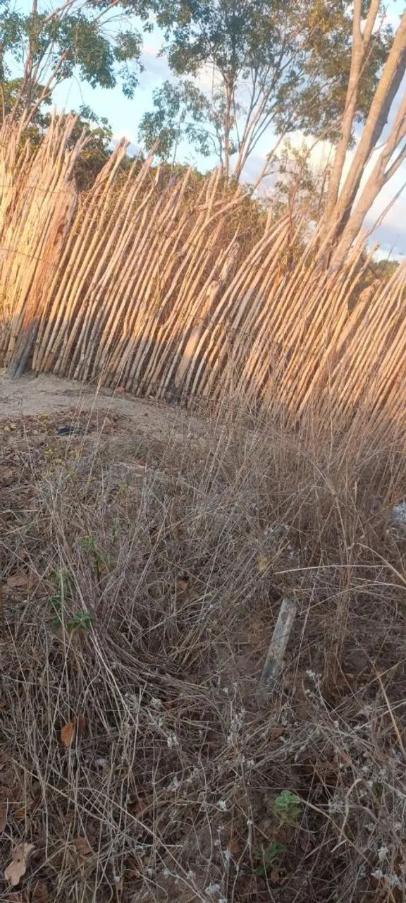 Terreno em Portalegre RN  - Foto 3