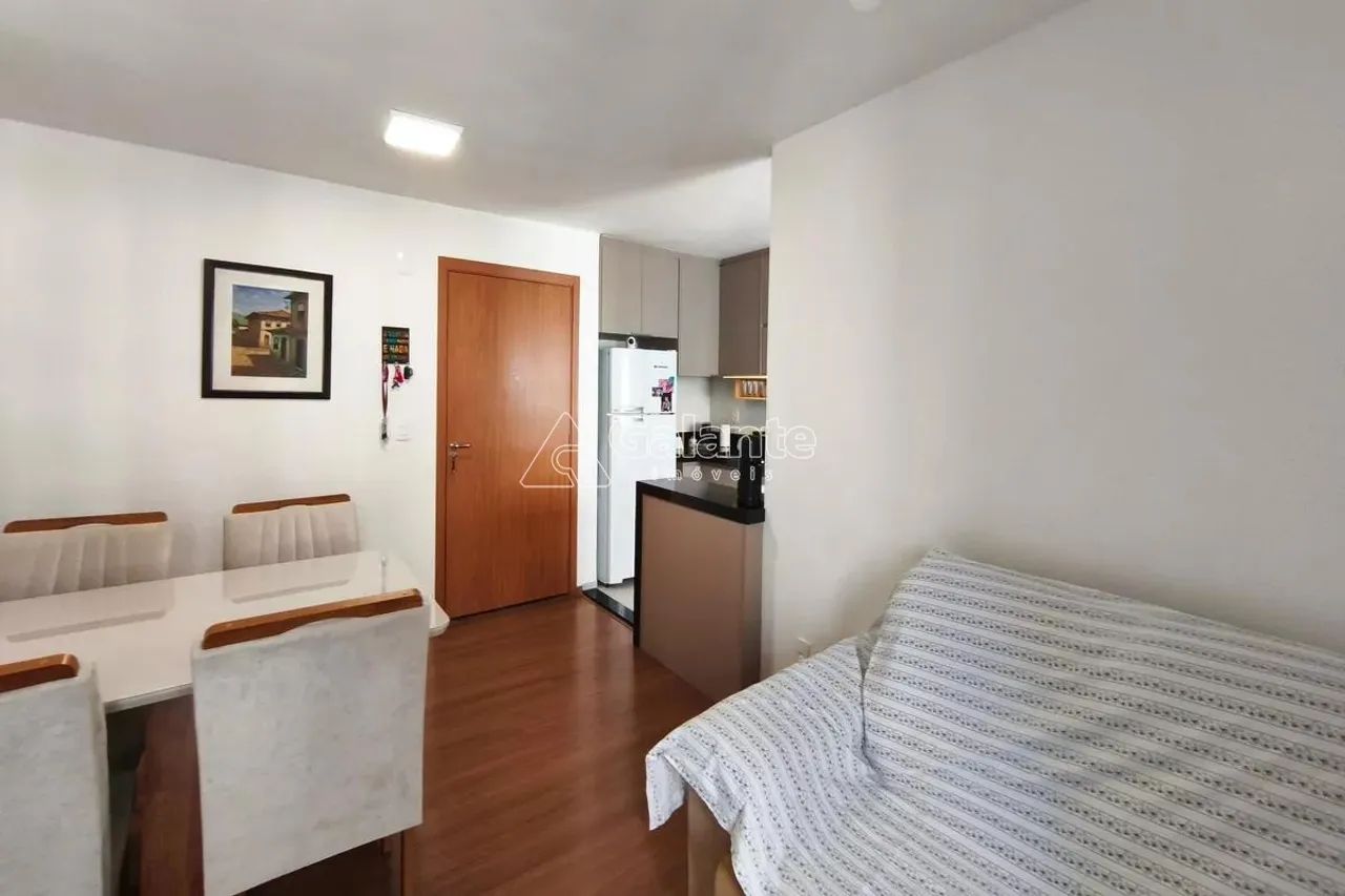 apartamento - Jardim Nova Europa - Campinas - Foto 2