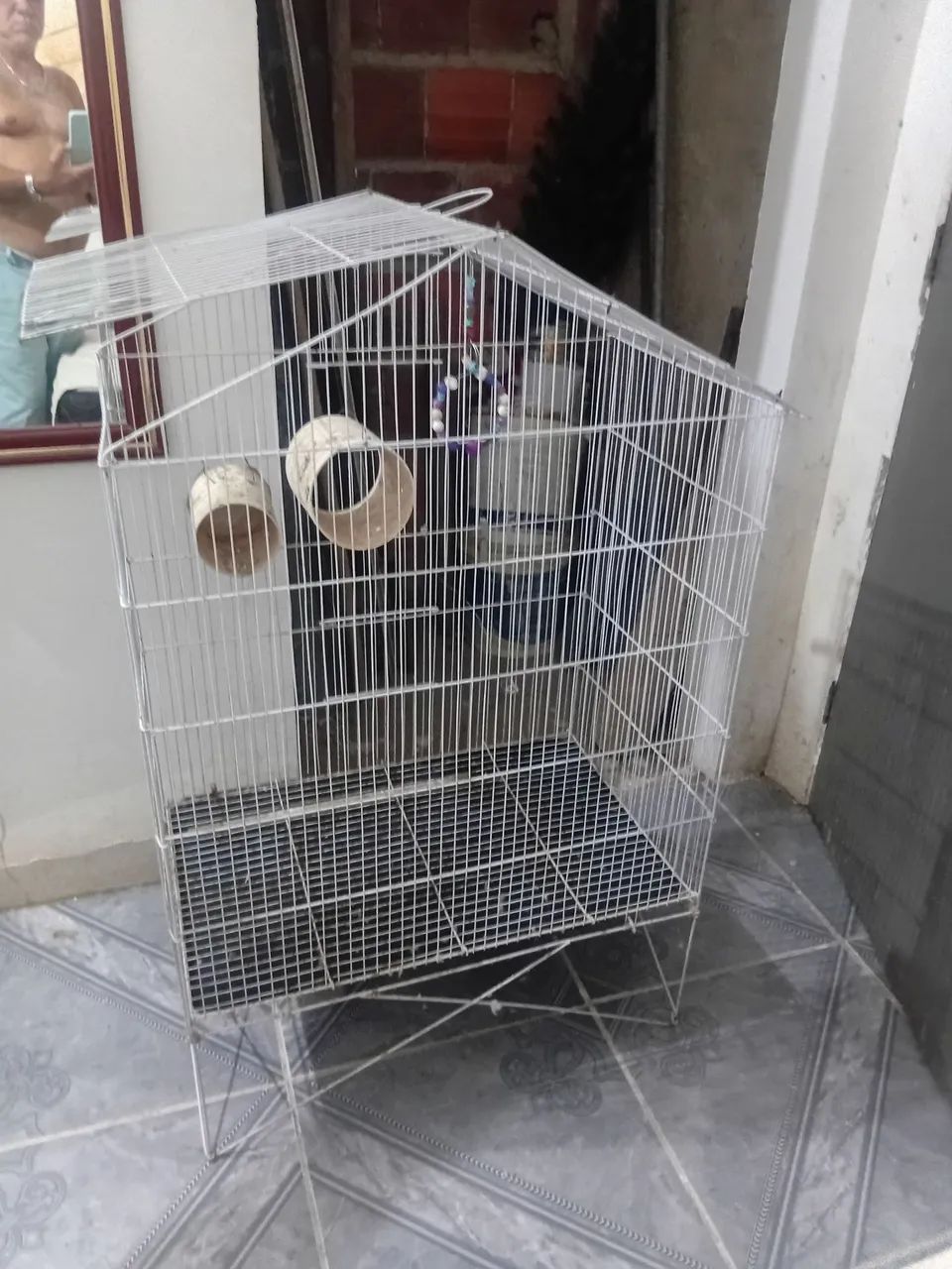 Viveiro pra calopsitona  - Foto 2