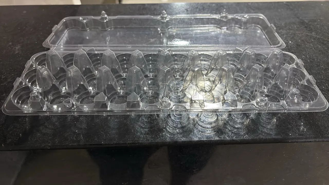 Recipiente Ovos codorna  - Foto 2