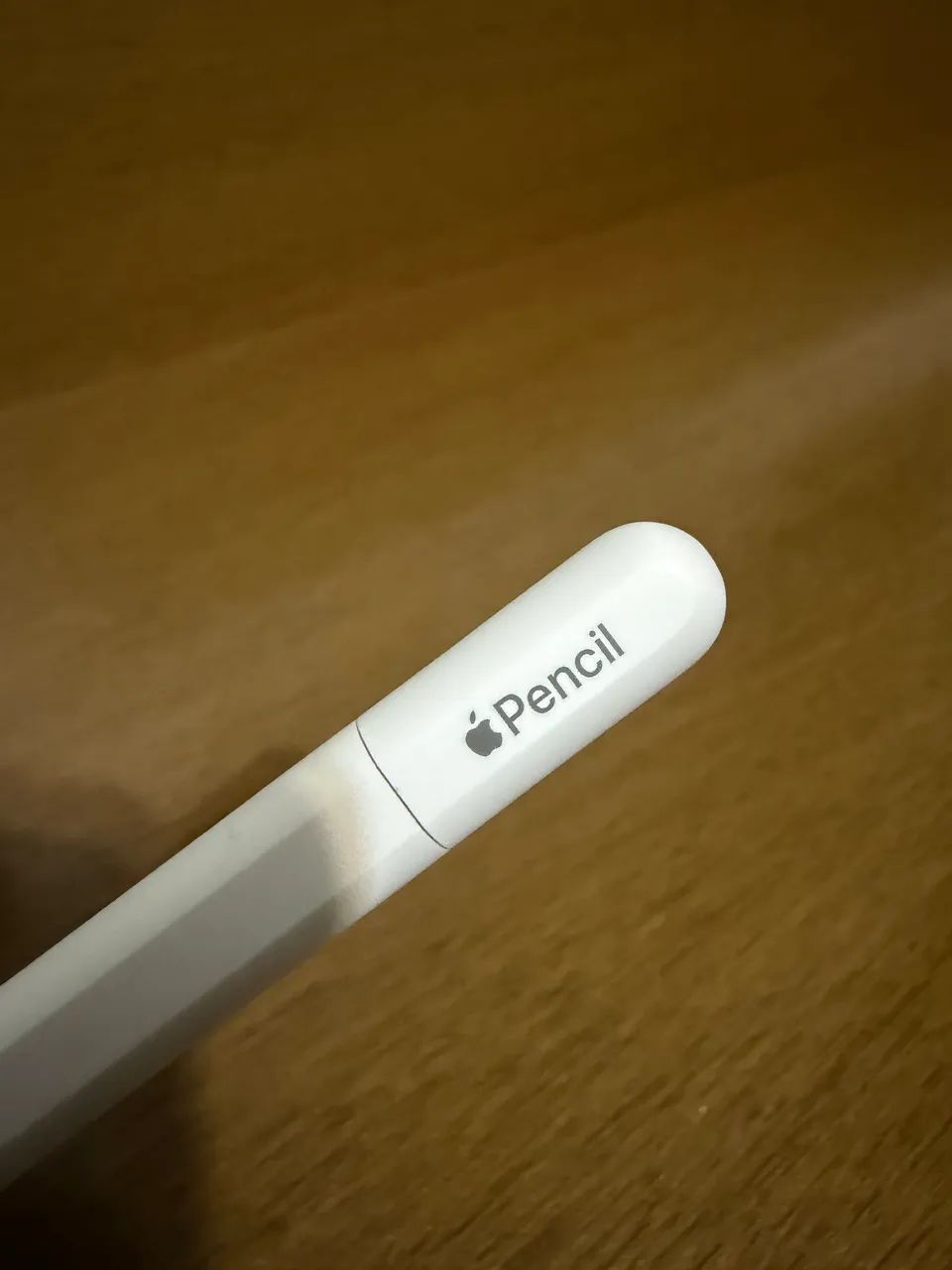 Apple Pencil USB-C Original Apple | Pouco Uso | Excelente Estado
