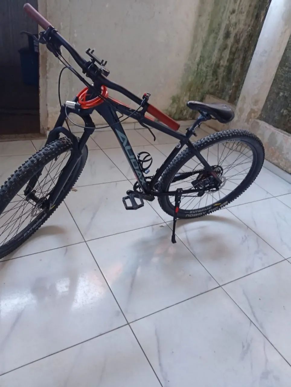 Bicicleta audax