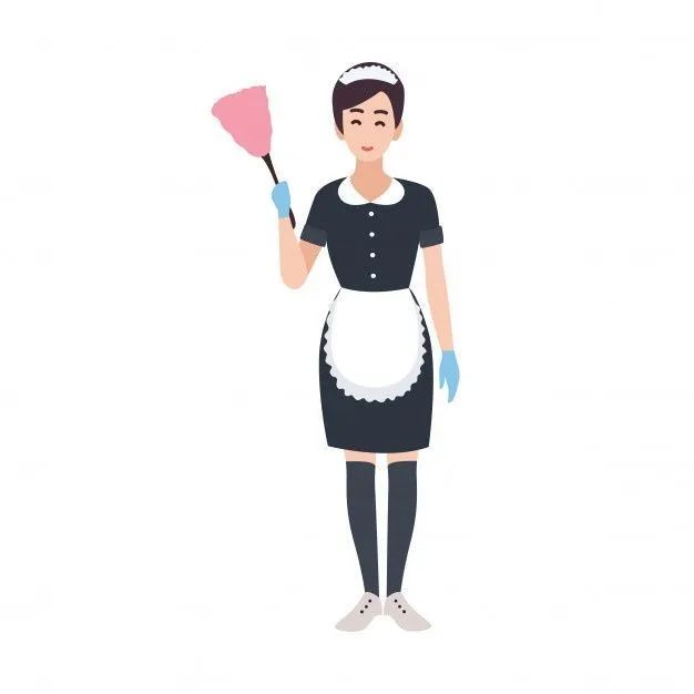 Sou domestica