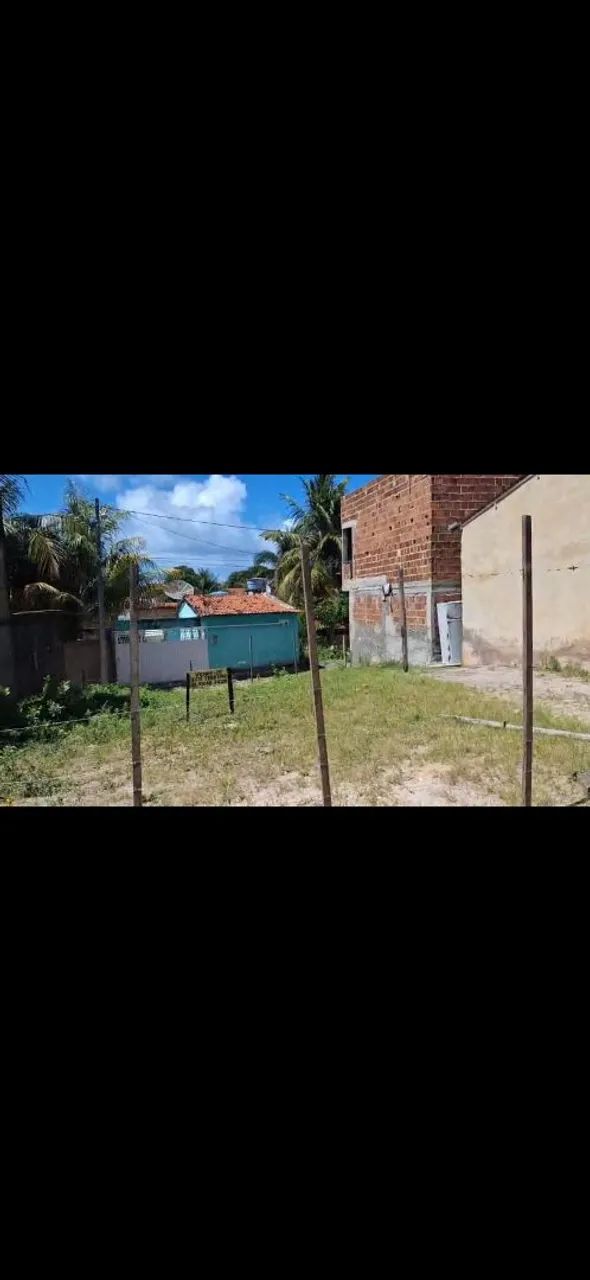 Praia peroba  Alagoas 