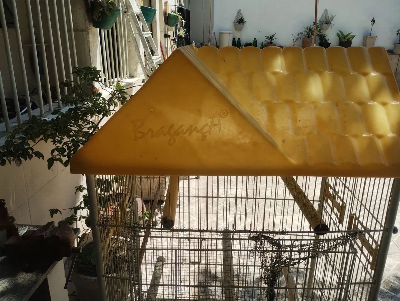 Viveiro para calopsita  - Foto 5