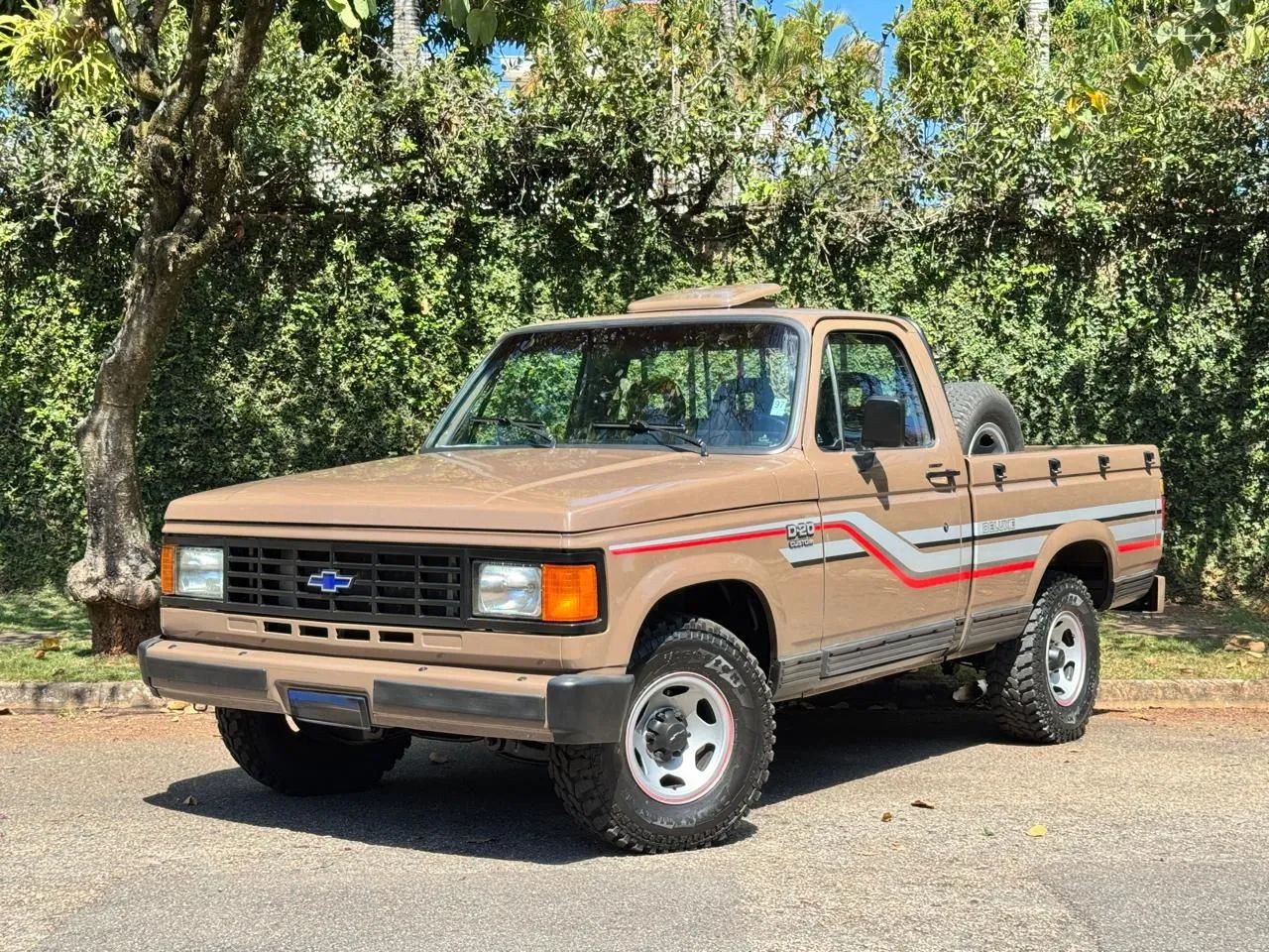 Chevrolet D-20 S / Luxe 3.9/4.0 T.diesel 1989