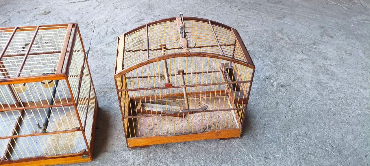 Vende-se voador e gaiola voador medindo 23/55 e a gaiola 18/33 - Foto 2
