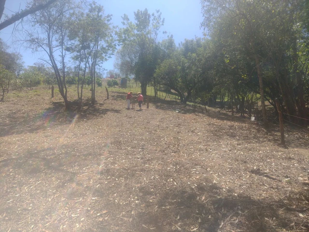 ?Vende-se Chácara em Itapetininga/SP ?