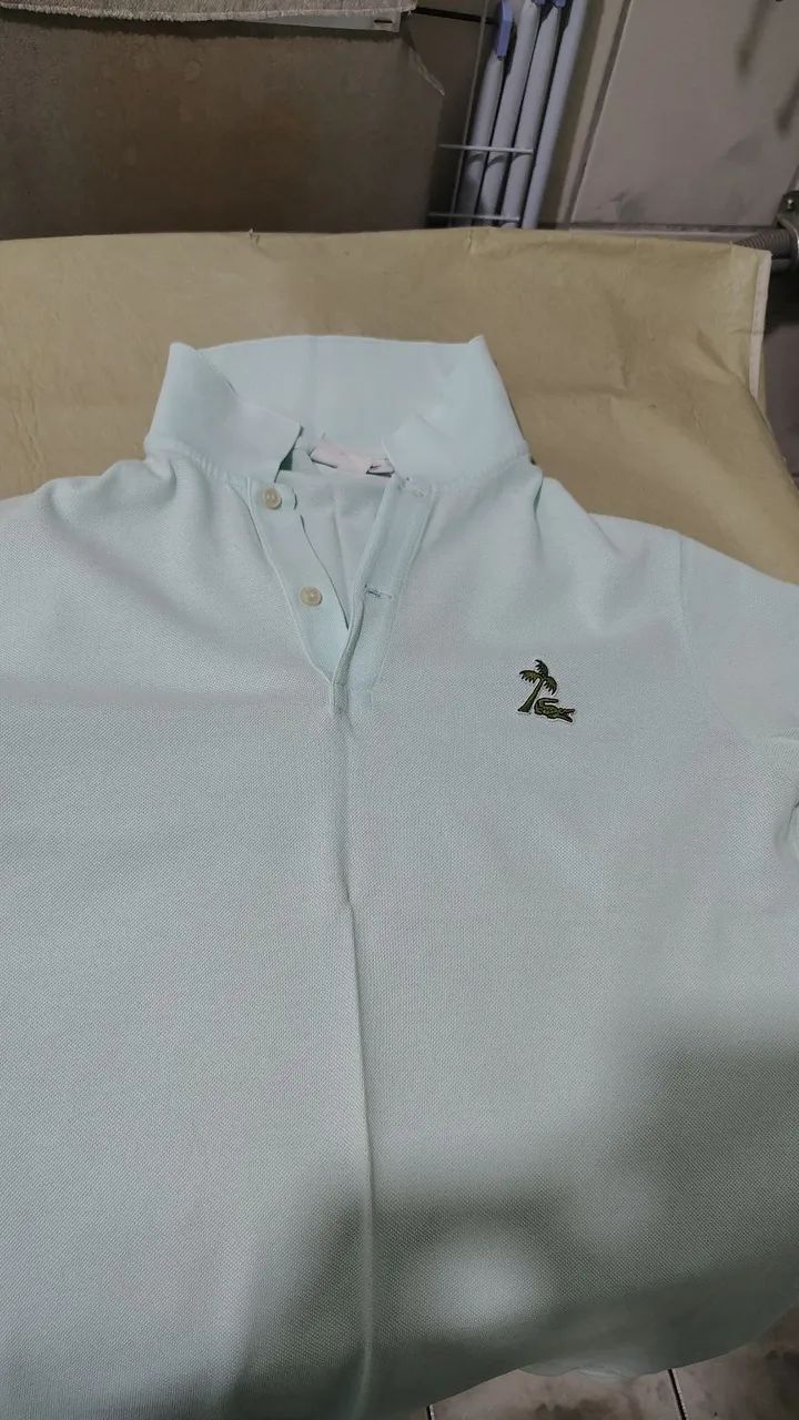 Pólo Lacoste coqueiro 