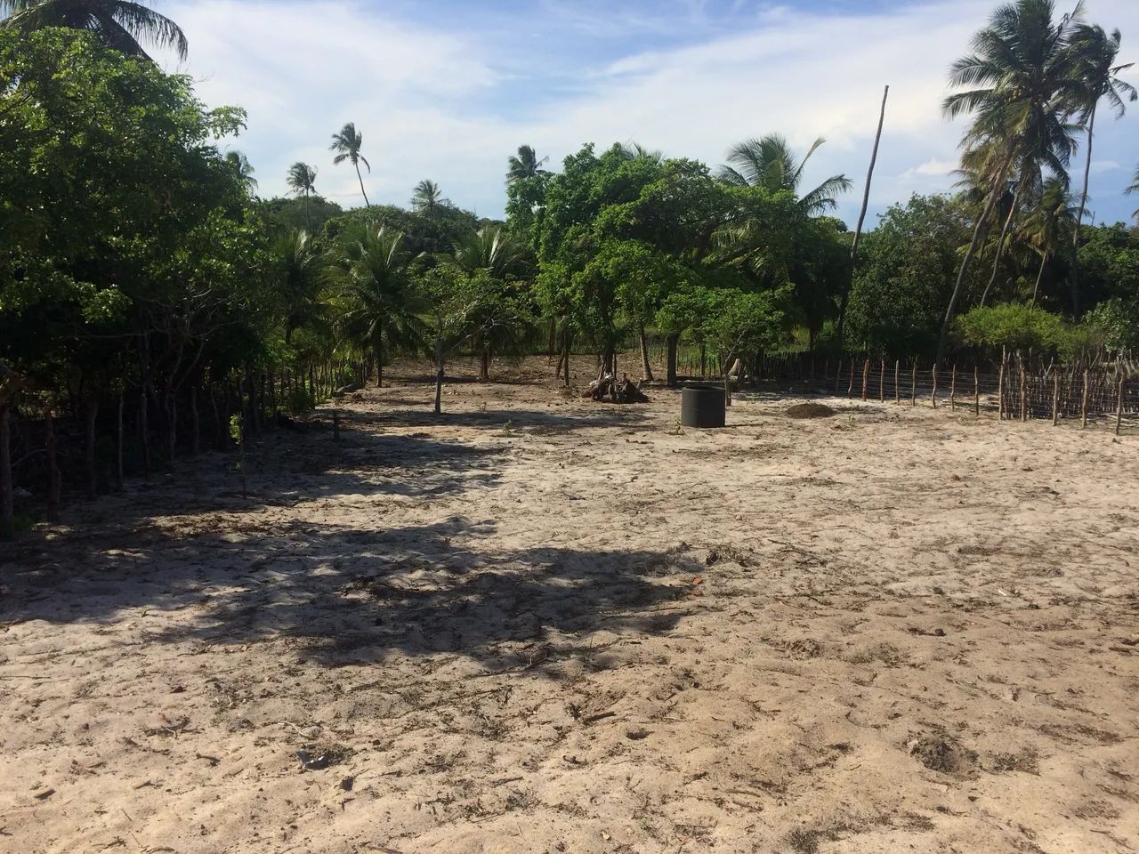 Sítio com coqueiros é próximo a praia - Foto 2