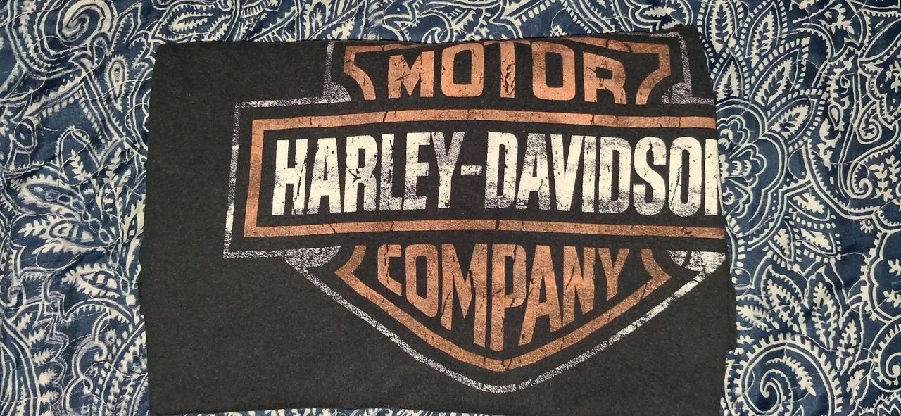 Camiseta Preta Harley Davidson GG - Foto 4