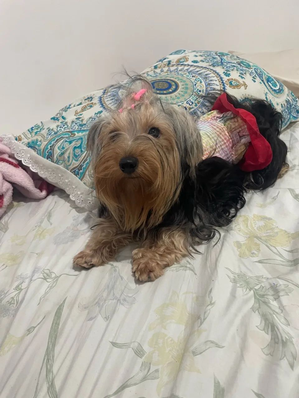 Quero um namorado - Foto 2