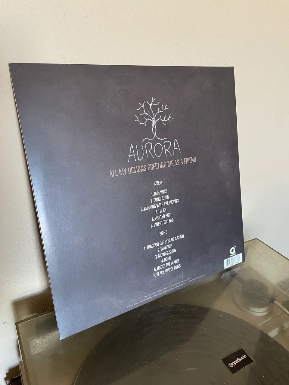 Disco Aurora - All my demons greeting me as a friend - Foto 2