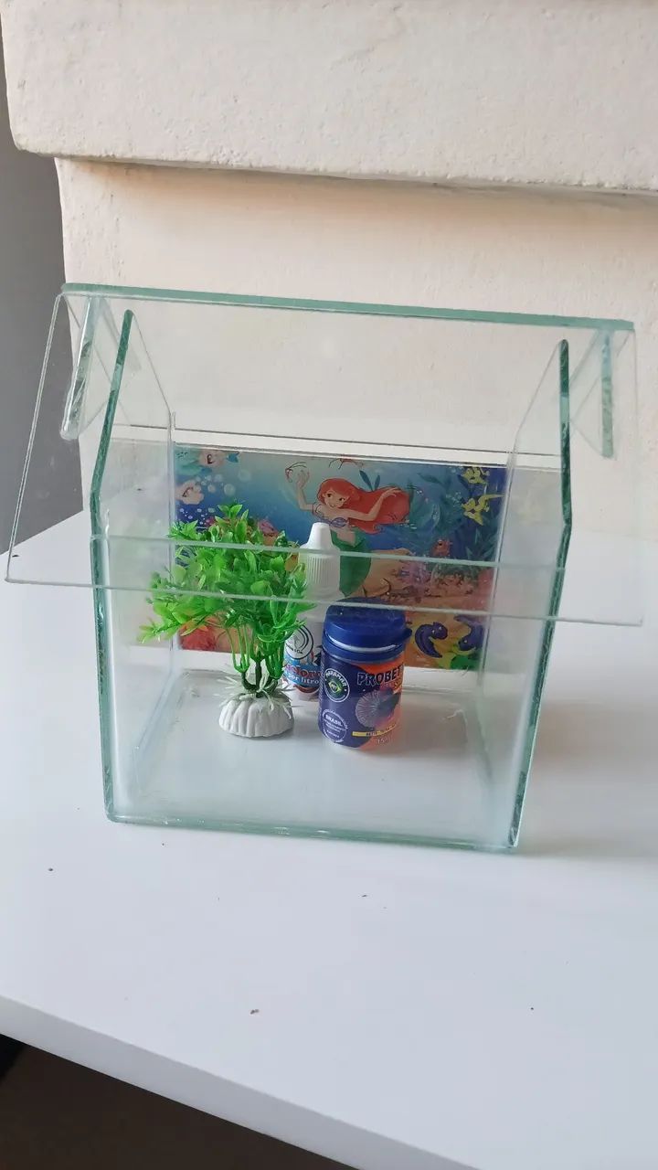 Aquário infantil 