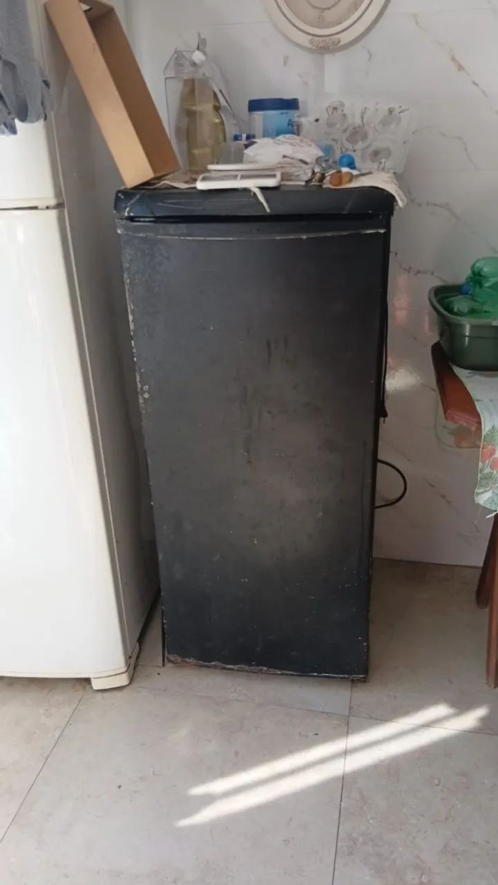 Freezer médio 