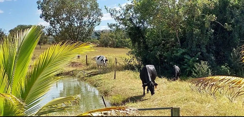 Chácara 20.000 escriturada