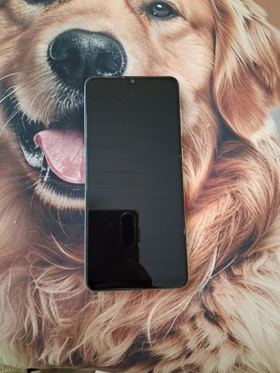 Samsung A31
