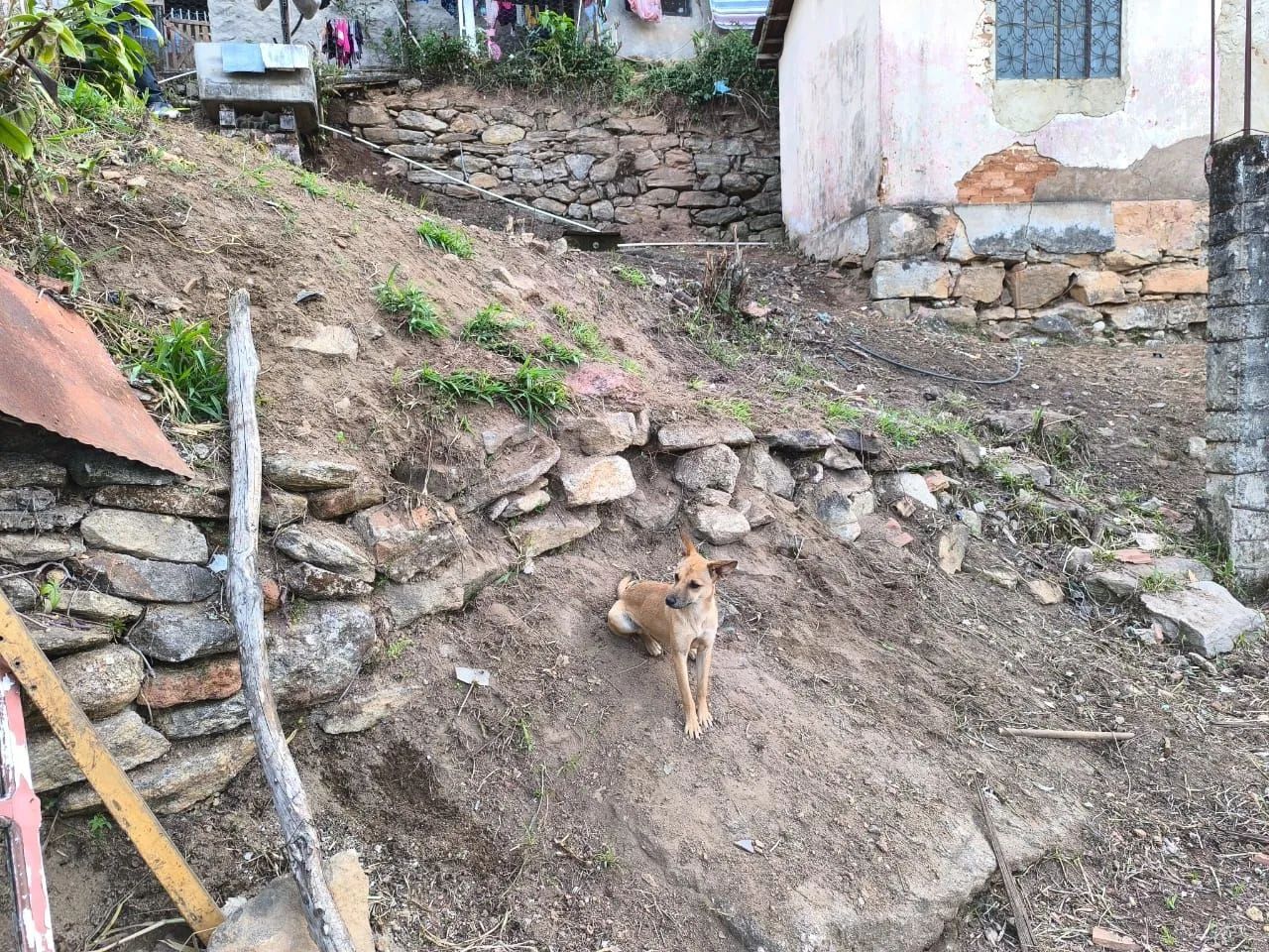 Oportunidade de compra de terreno - Foto 5
