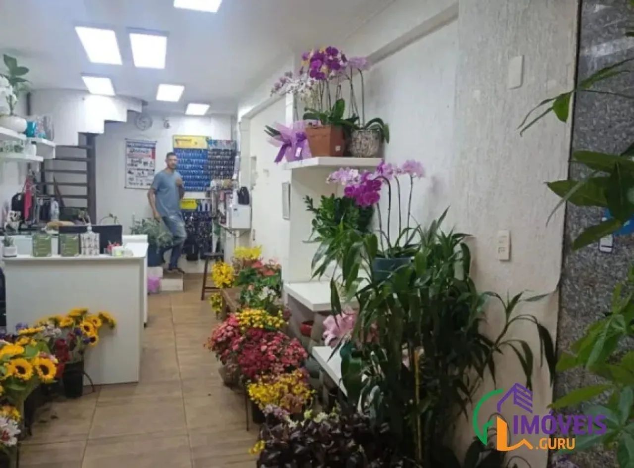 LOJA - BELA VISTA - SP - Foto 5