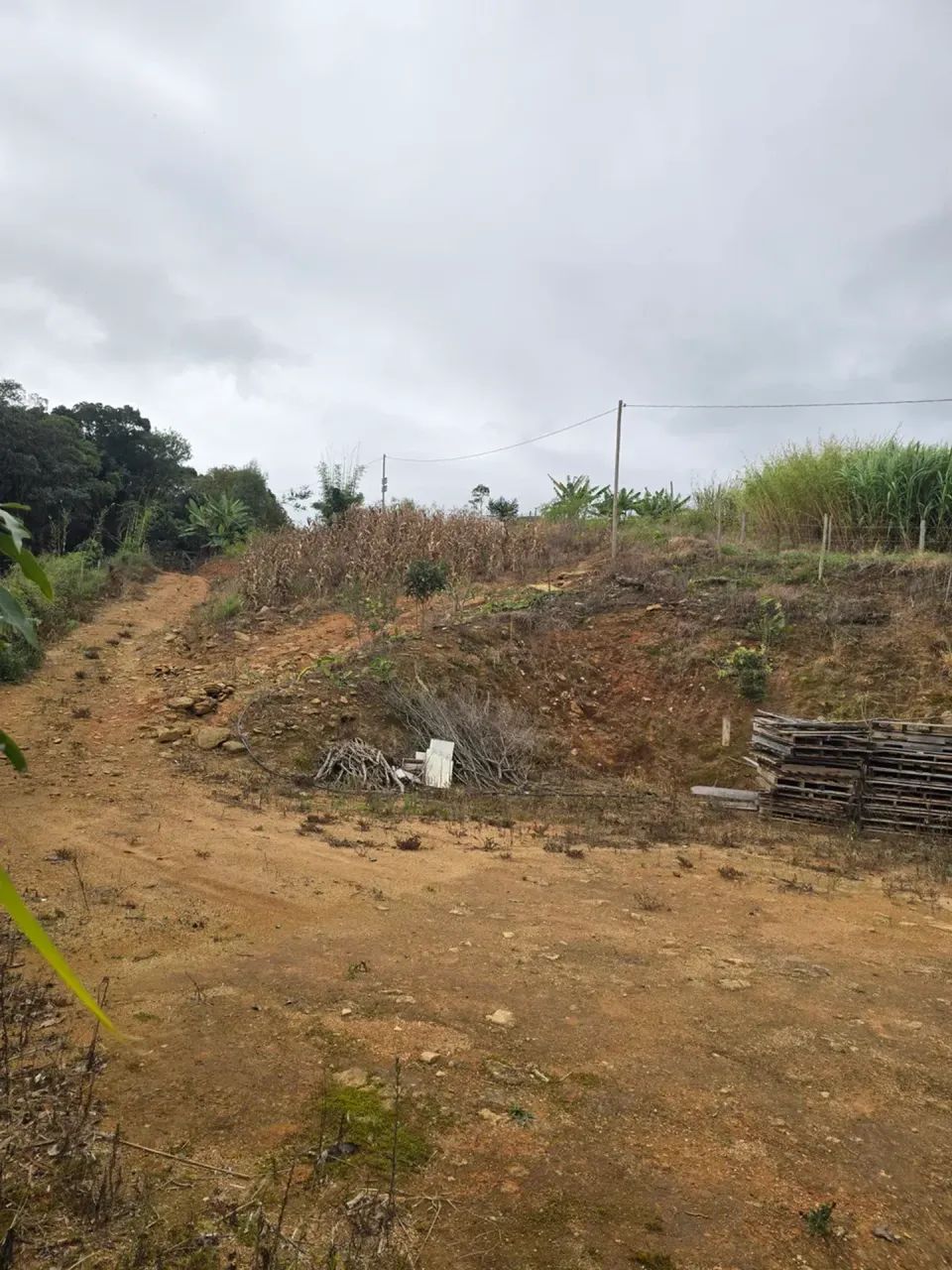 terreno  em Itapeva-MG  com 24 mil metros e nascente - Foto 2
