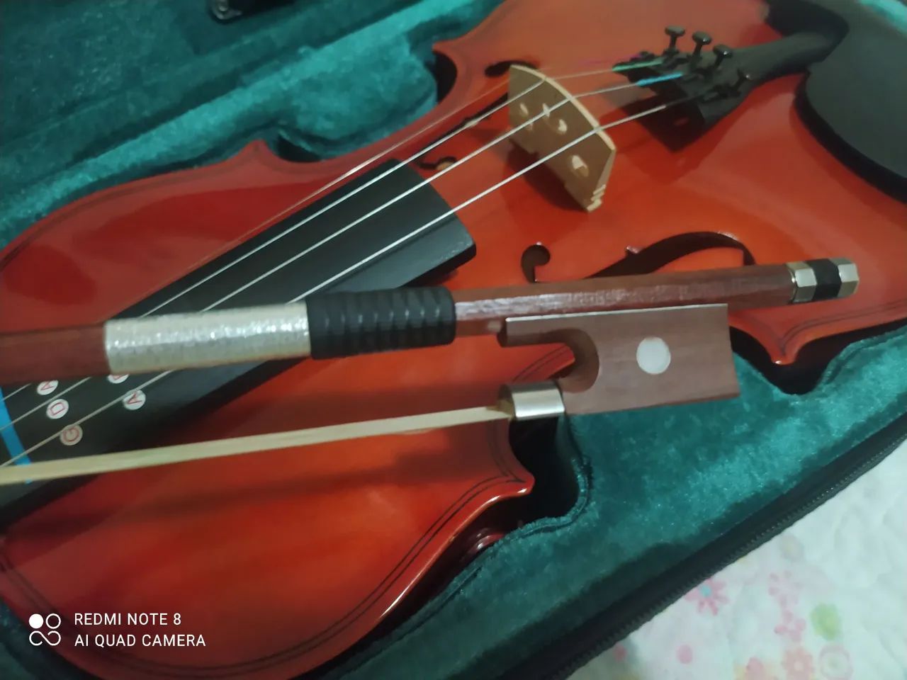 Violino koning 4/4