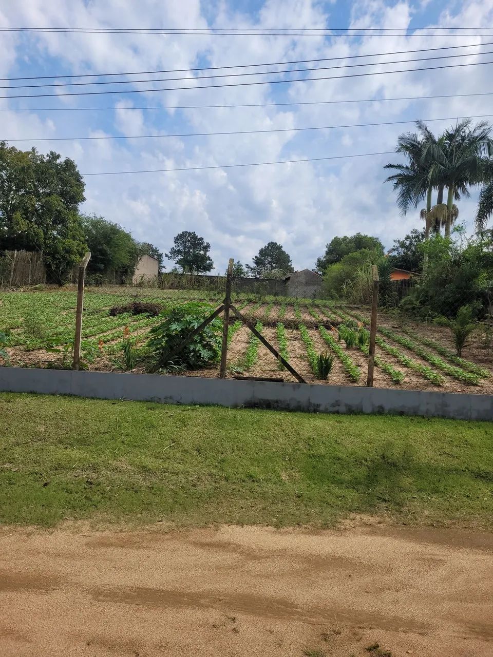 chácara  - Foto 2