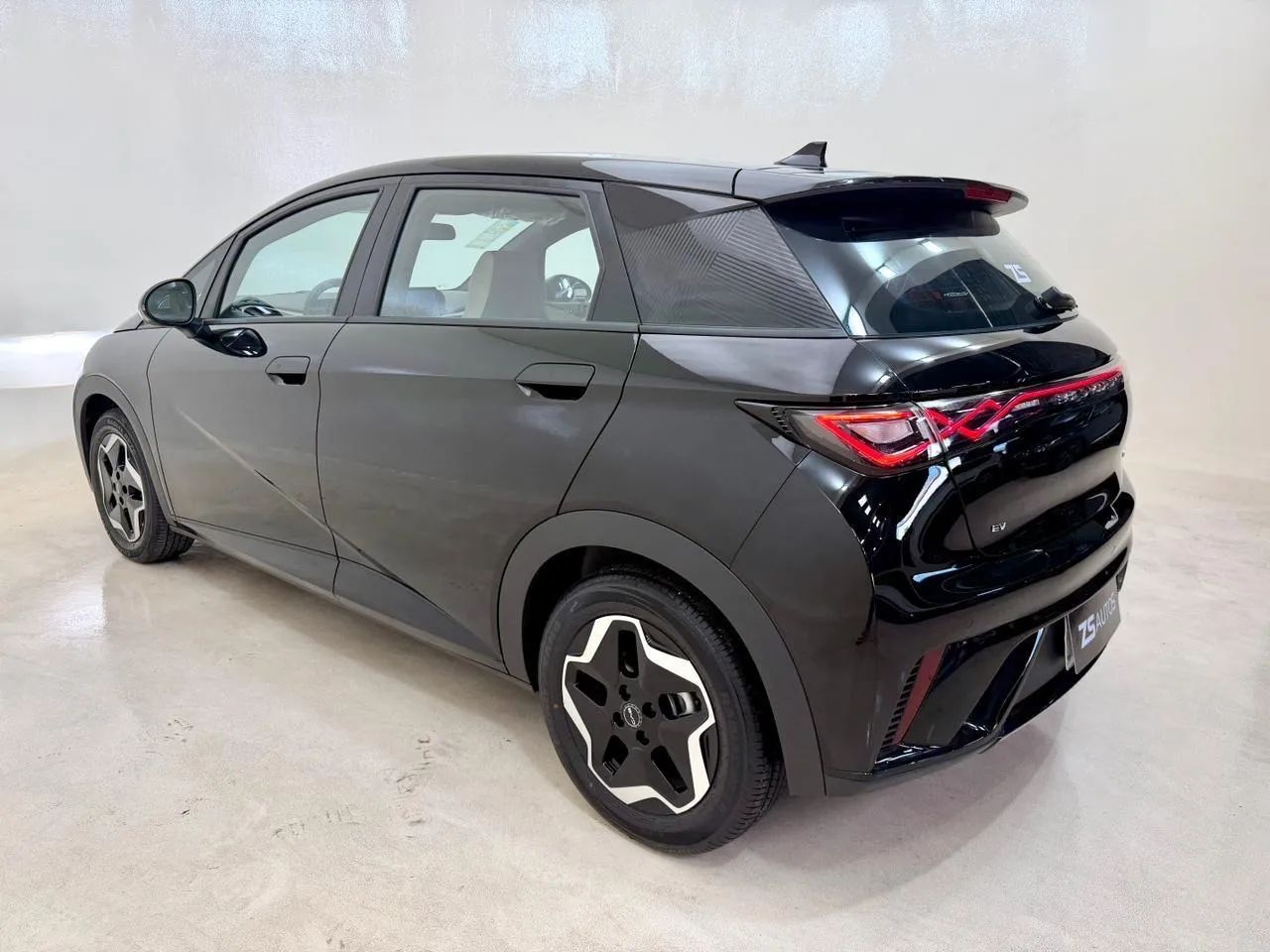 BYD Dolphin EV (Elétrico) 2024 - Foto 3