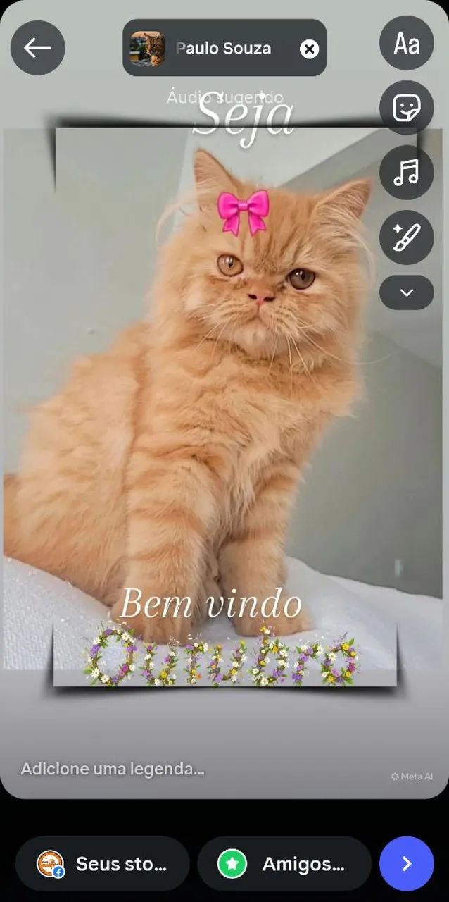 Gatinha persa