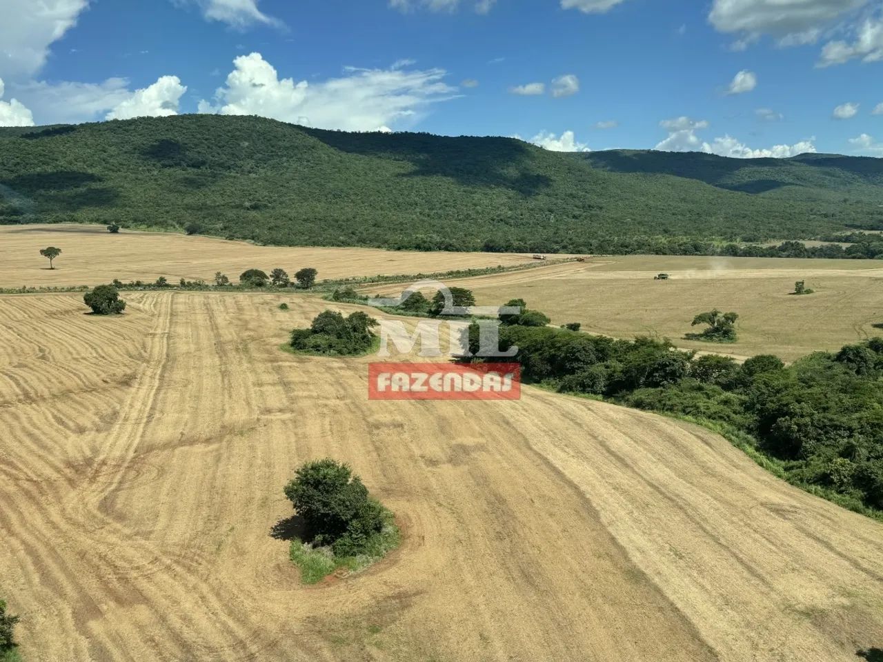 Fazenda em Barro Alto-GO. (350 Alqueires). Soja e Gado
