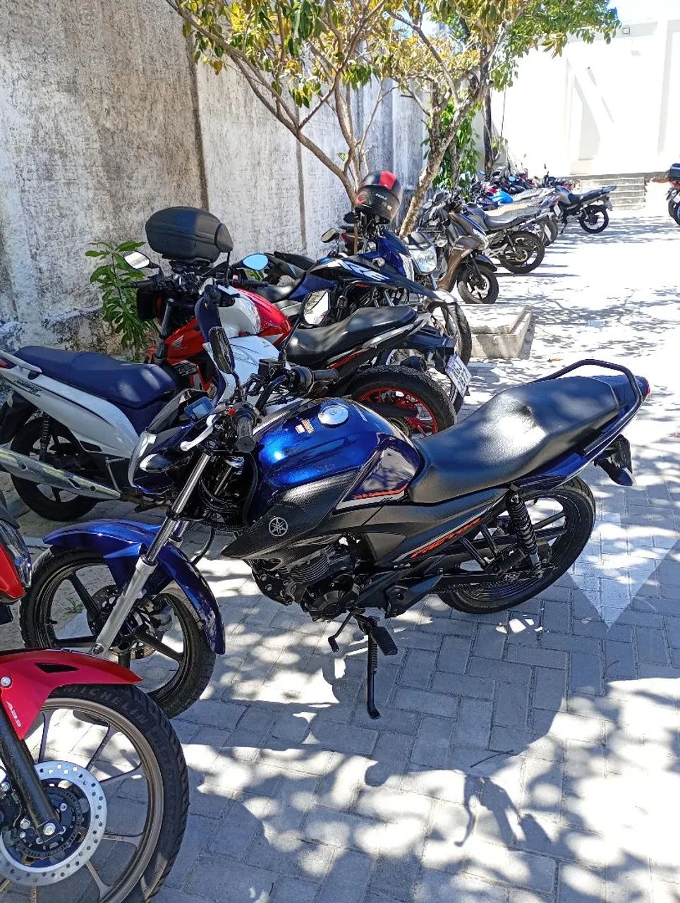 Factor 150 YBR 2024 - Foto 3