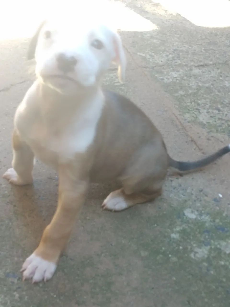 Vendo - Foto 2