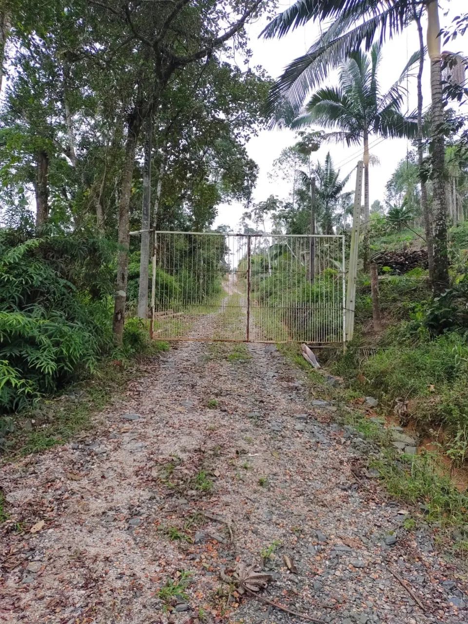 Terreno em canelinha na geral do moura - Foto 3