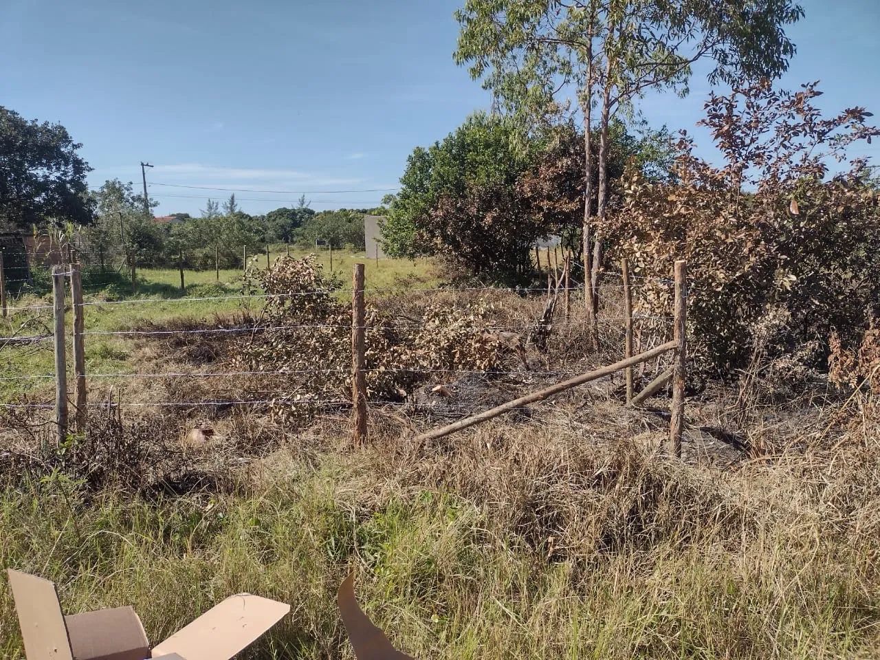 TERRENO EM UNAMAR - CABO FRIO - Foto 4