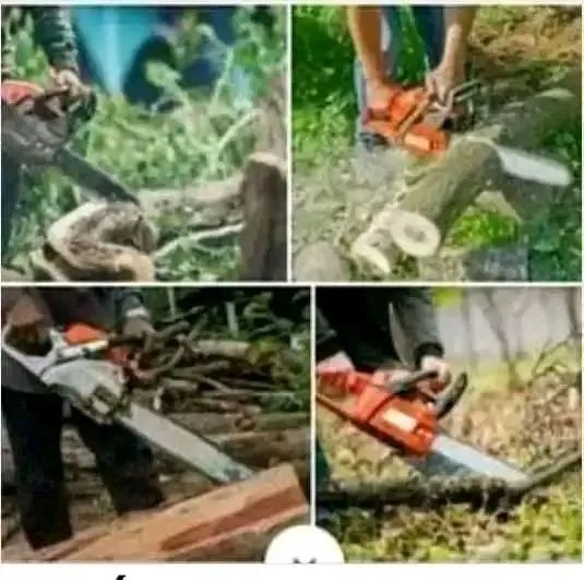 CORTES E POLDAGENS  - Foto 4