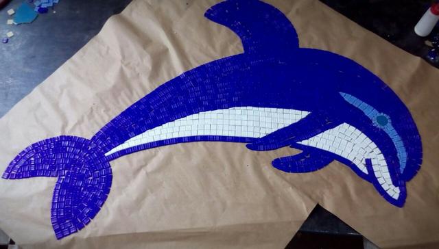 Fundo de piscina golfinho e outros desenhos