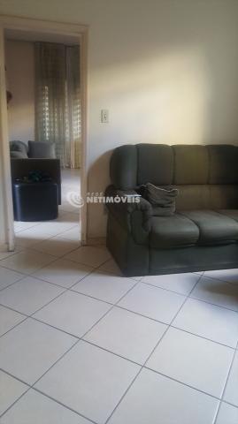 Casa à venda com 5 dormitórios em Glória, Belo horizonte cod:641046 - Foto 4