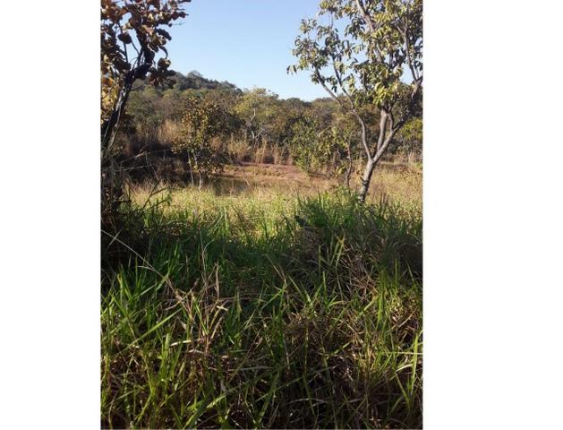1450 Hectares, Oportunidade, Pecuária Santo Antônio do Leverger-MT - Foto 7