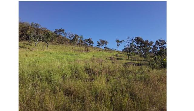 Ocasião,1590 Hectares,1000 hectares Pasto sujo Santo Antônio/MT - Foto 3