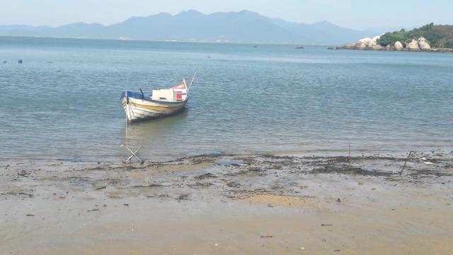 Galpão/depósito/armazém à venda em José mendes, Florianópolis cod:8244 - Foto 18
