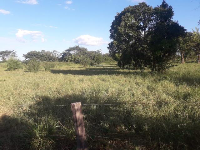 Sitio na Beira do Rio Cuiabá em Barão - Foto 5