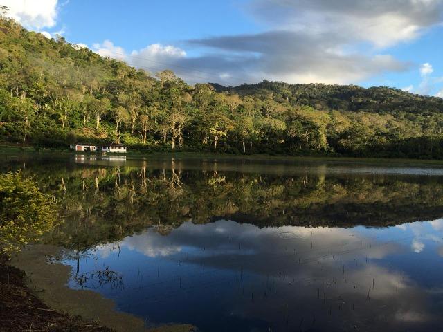Fazenda - Sul da Bahia - Foto 8