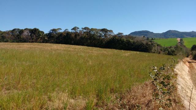Vendo terreno para chácara ou plantação - Foto 5