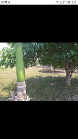 Vendo terreno,na Vila Acre,Ramal da Castanheira,medindo 20x45 - Foto 3