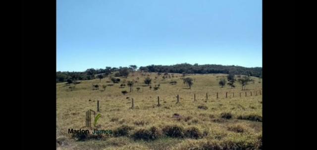 Fazenda em Morrinhos-Go - Foto 7