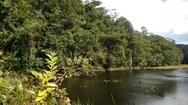 Fazenda Com Nascentes, 800 m de rio e Mata Atlântica Preserevada - Foto 2